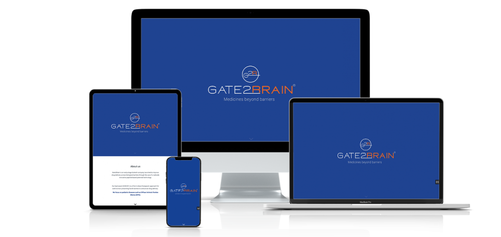 Agencia de diseño de paginas web para empresas y profesionales